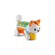 Count and Crawl Kitty